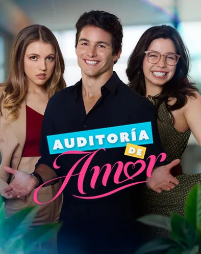Auditoría de Amor